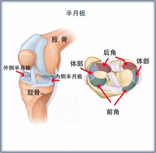 半月板损伤的最好治疗方法?哪种修复治疗方法好?效果如何?(含录像)
