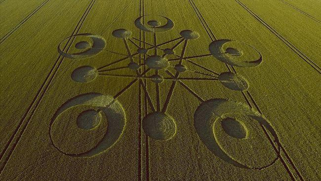 中国版麦田怪圈不在麦田而在稻田里图案好像在哪见过