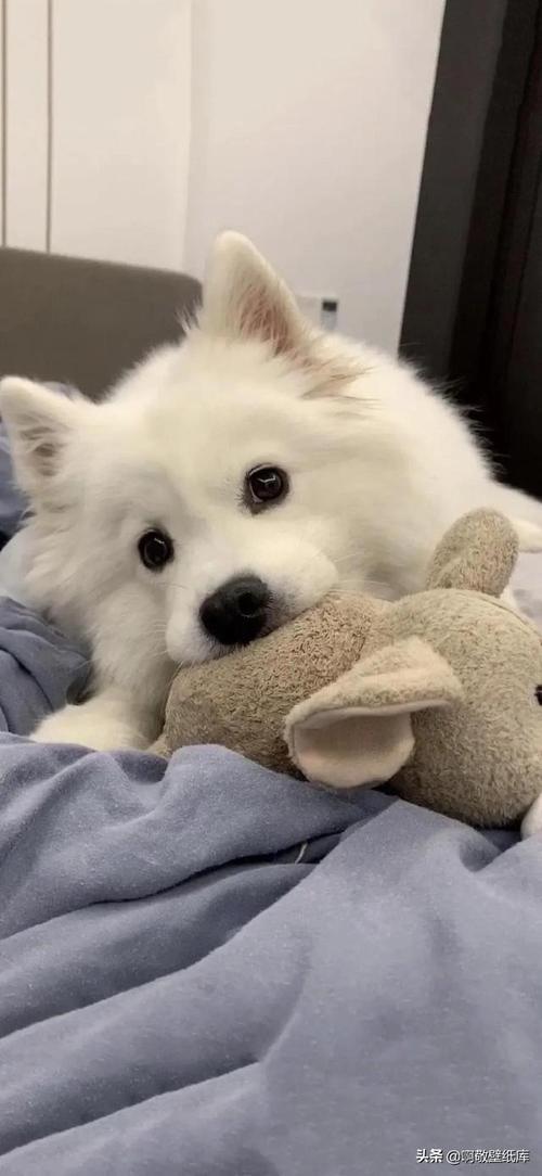 640_1387 竖版 竖屏