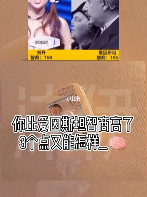 最强大脑刘丹_爱因斯坦怎么样_eternal团队话题_娱乐