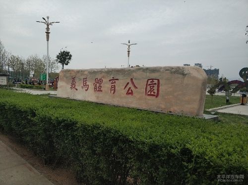 周末带娃义马体育公园玩耍