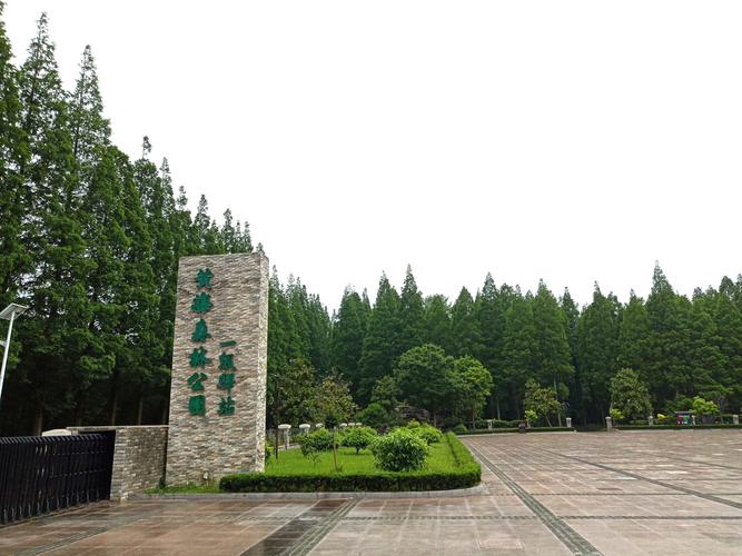 东台黄海森林公园