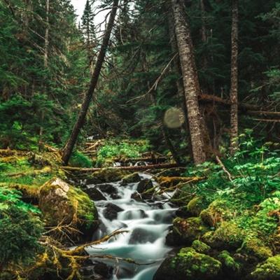 好看风景头像 优美的小溪流水风景