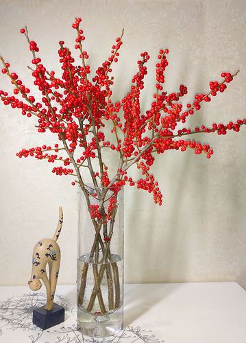 北美进口冬青红豆果 插花年宵圣诞新年礼品 喜庆鲜花速递上海同城