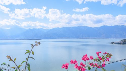 云南大理苍山洱海双廊景色