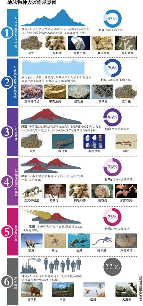人类开启第六次物种大灭绝?