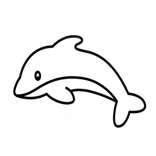 关于海豚的简笔画