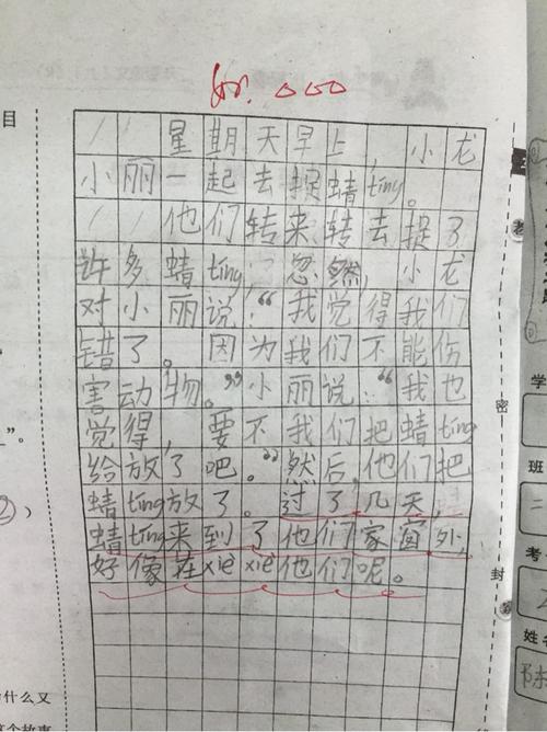 二年级上册看图写话《捕蜻蜓》作品展示