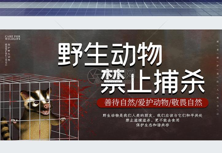 禁止捕杀野生动物公益展板