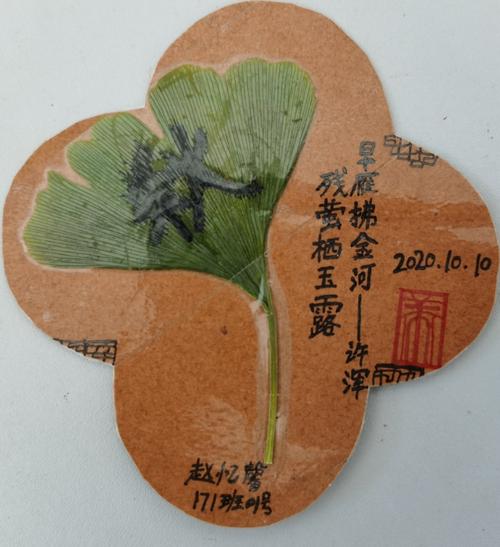 一张银杏叶书签