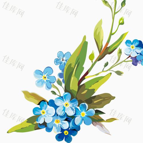 手绘 花卉 花朵 装饰花边 唯美 花瓣