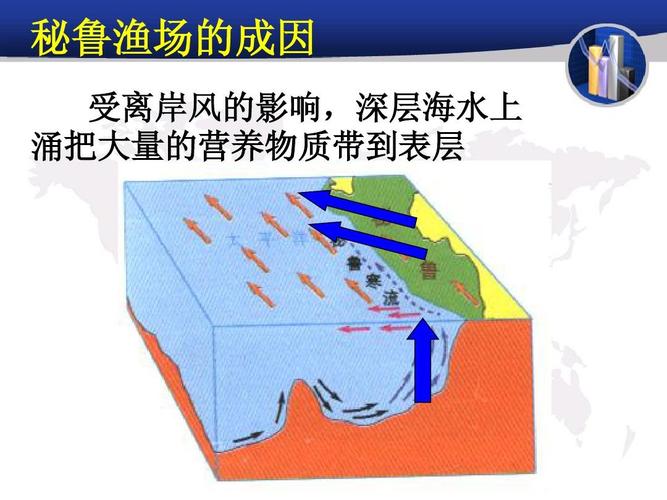 秘鲁渔的场成因 离岸受的影风响,层海水深 涌上大量的营养物把质带到