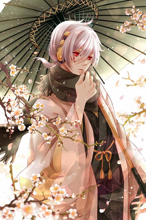 动漫!美男子