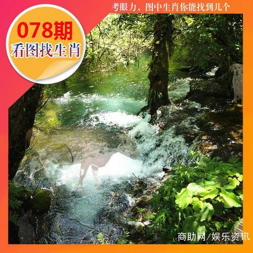 078期看图找生肖 2019年第78期看图猜特肖哪里有?