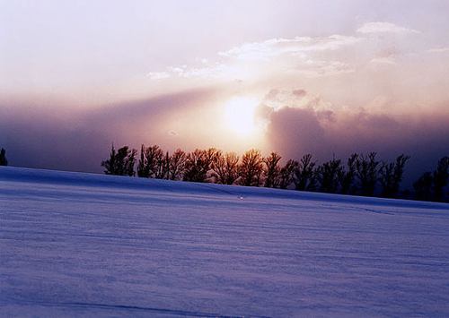 雪地