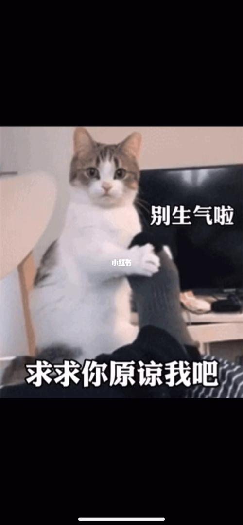 道歉表情包_表情包_表情包分享_素材_表情包