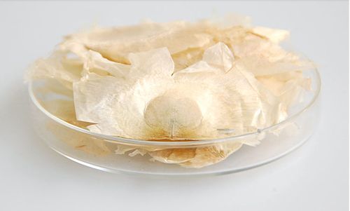 玉蝴蝶花茶500g包邮千张纸木蝴蝶茶干花500克批发搭配胖大海药淘天下