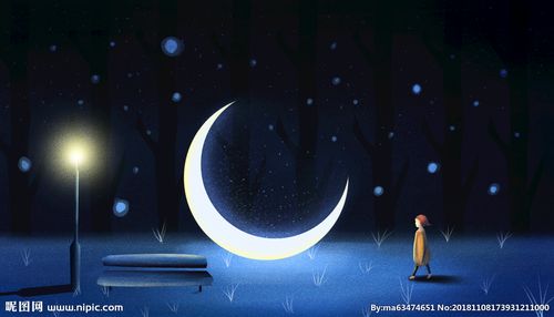 月亮 插画 黑夜 星空 意境图片