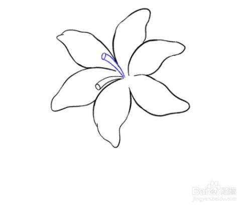 如何画一枝百合花