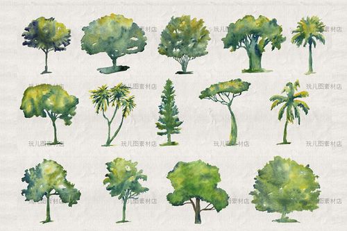 手绘水彩植物绿色树木插画png免抠网页海报印刷设计素材图片b063