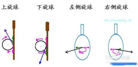 乒乓球初学者必看 从为什么到怎么练