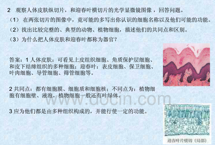 48 提问者悬赏:10分|qq243250924|   分类:资源共享 就是那个人体皮肤