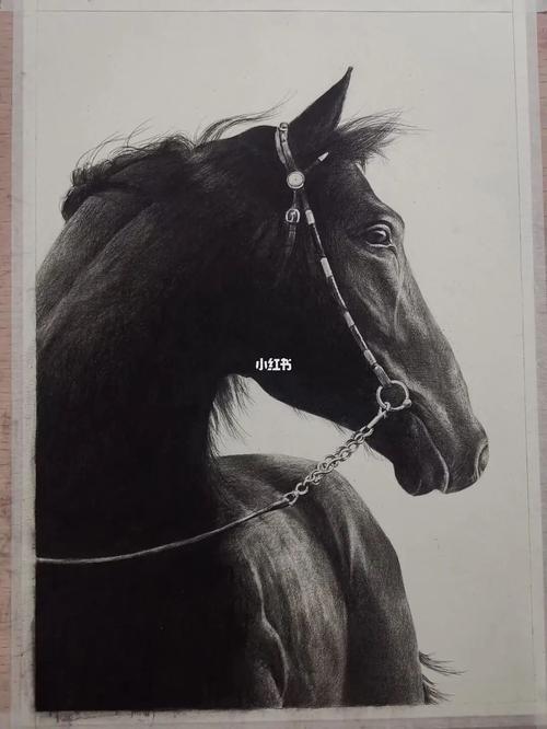 记录一下过程,临摹的是精微素描,使用炭笔