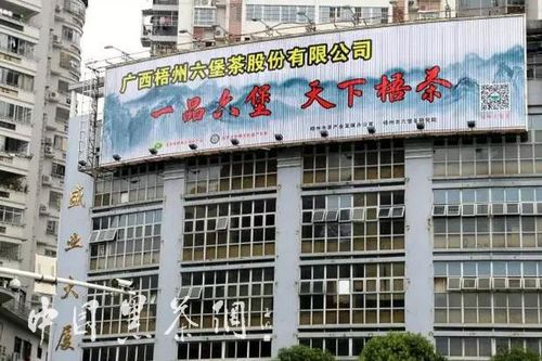 巨型六堡茶海报竟一夜间迅速占领梧州_广西六堡茶