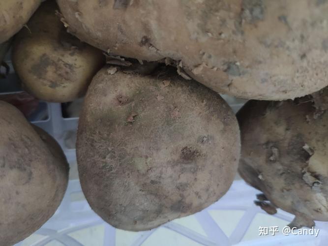 淘宝买了坏土豆商家不负责真难受