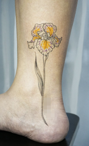 鸢尾花纹身图案大全 鸢尾花纹身有什么寓意(11)