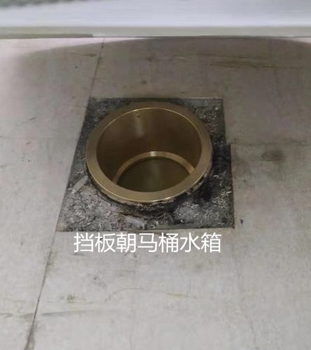 踊跃马桶防溢器防逆防返水卫生间防臭止水阀止回阀坐便器配件法兰