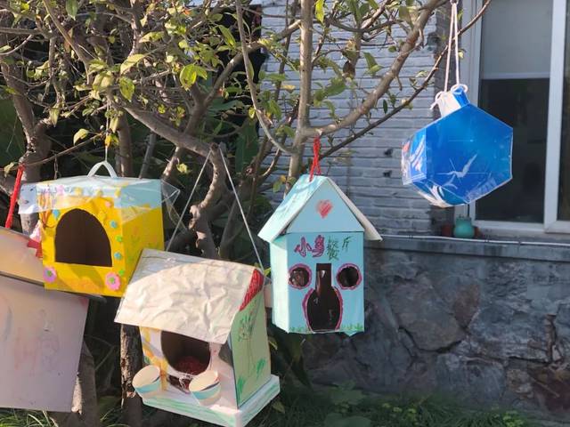 我想变成一只小鸟,钻进小朋友们制作的小鸟餐厅