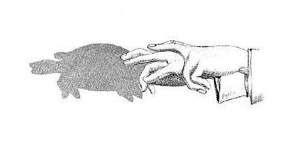 儿童绘本之美丽的影子