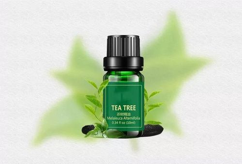 茶树精油的功效与作用精油的副作用与使用禁忌