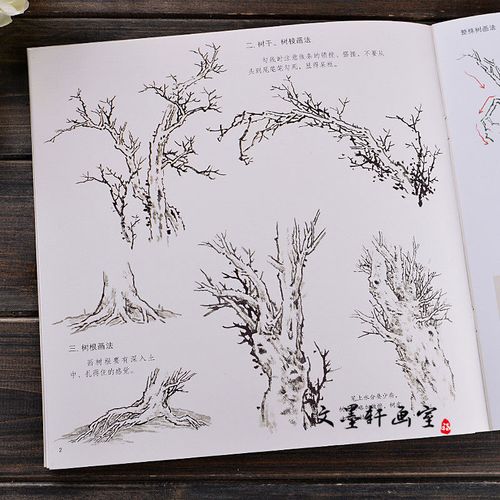 学画宝典 树木 中国画技法/林之本/写意山水画法步骤