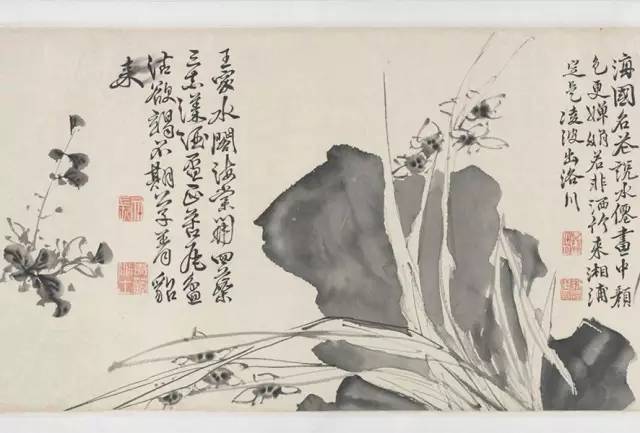 明· 徐渭《十二墨花诗画图卷》