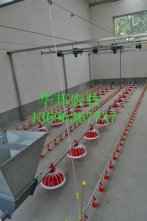 养鸡料线 肉鸡自动上料机鸡舍专用投料机的