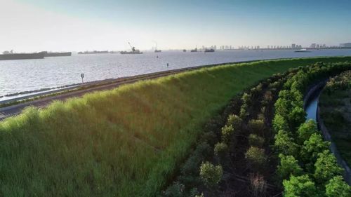 网红岛铁黄沙亮相2018年度苏州市十大经济新闻发布会