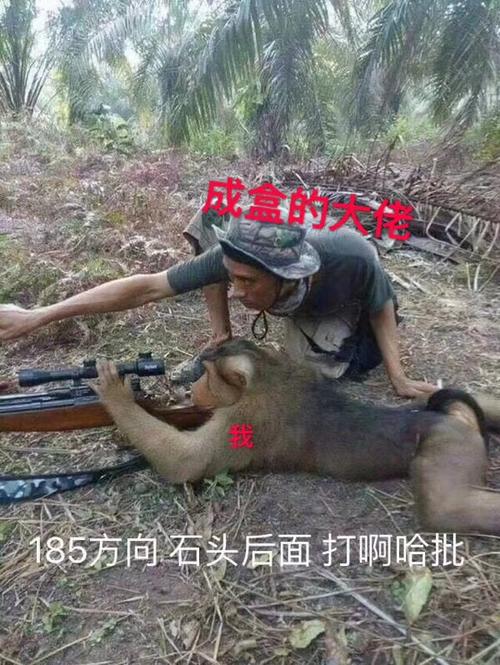 成盒的大佬
