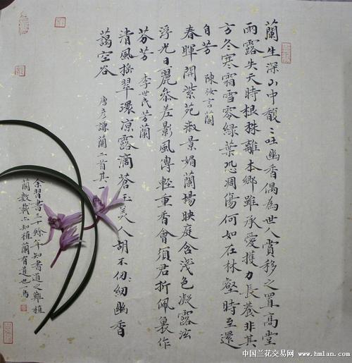 重庆一鸟小楷书兰花诗斗方