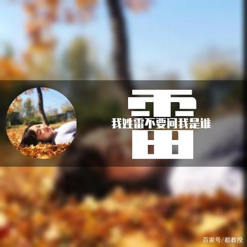 雷姓总人口370万,看看这11个姓氏头像,还真有意思!