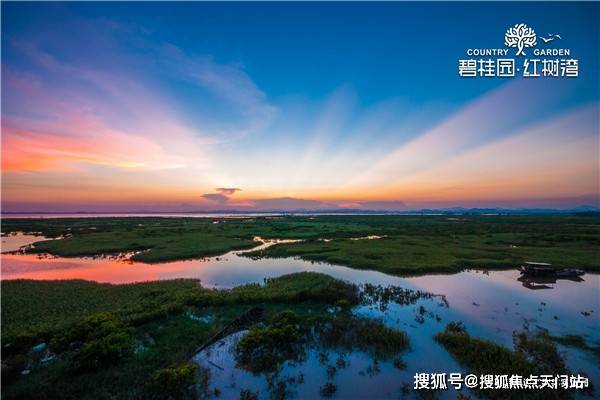 广西【钦州碧桂园红树湾】—没有升值空间?值不值得投资?未来规划?