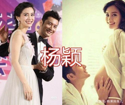杨颖孕照,姚晨孕照,安以轩孕照,看到谢娜孕照:不愧是双胞胎!