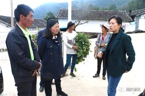 心系困难群众,鹤庆县长段红丽再次来到这个小山村