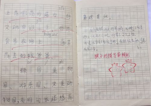 三年级小练笔