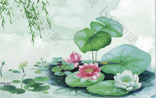 [转载]意境荷花(网图欣赏)