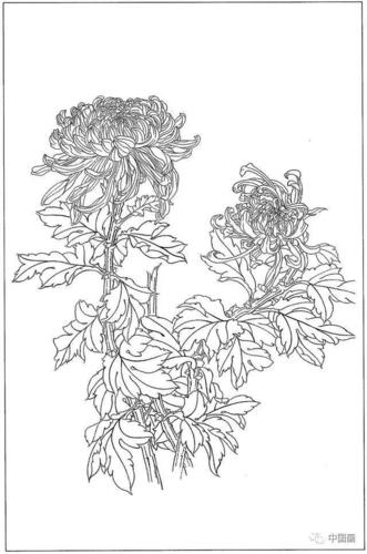 梅兰竹菊四君子国画线描学习素材高清81幅,喜欢就收藏