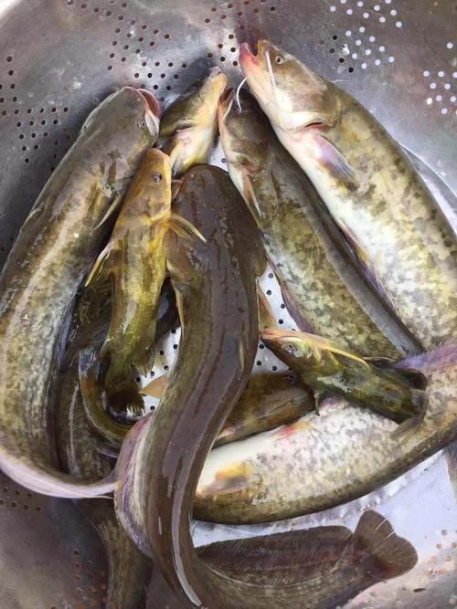 共707 件河鲜海鲜相关商品