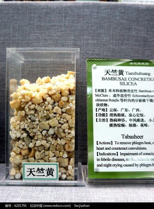 天竺黄及功效说明