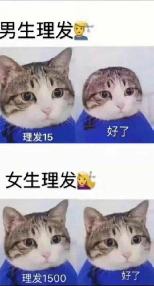 男生理发vs女生理发